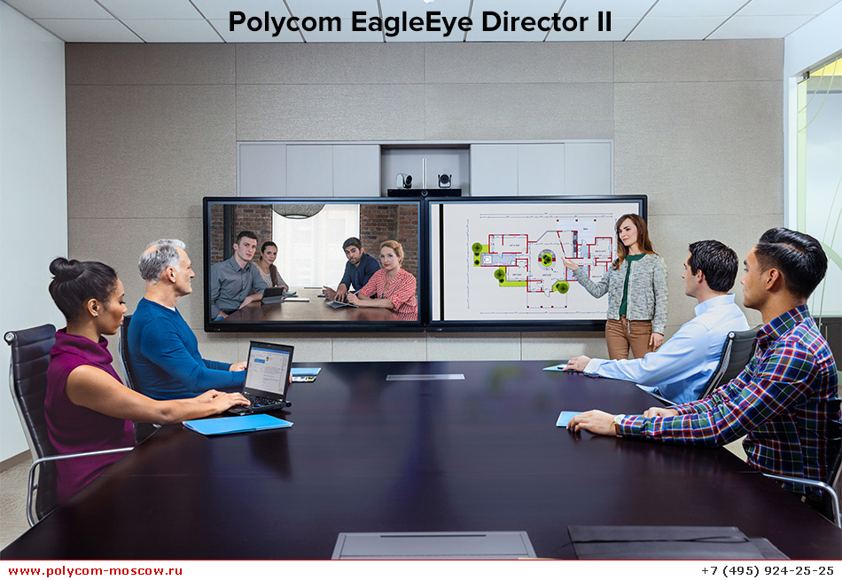 Polycom EagleEye Director II left